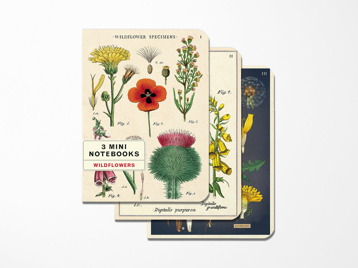 Cavallini Mini Vintage Notebooks Set of 3 - Wildflowers