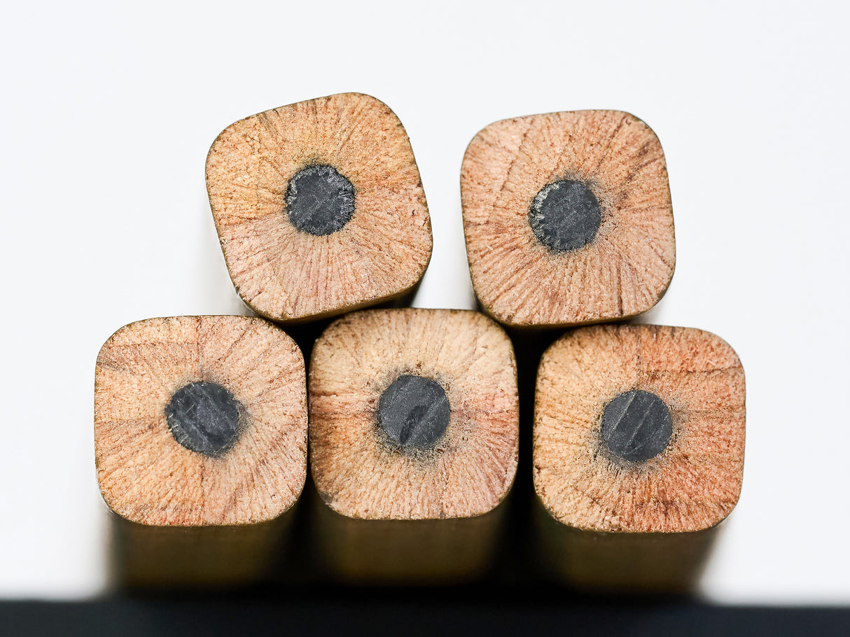 Blackwing Volume 21 - The Woodworking Pencil