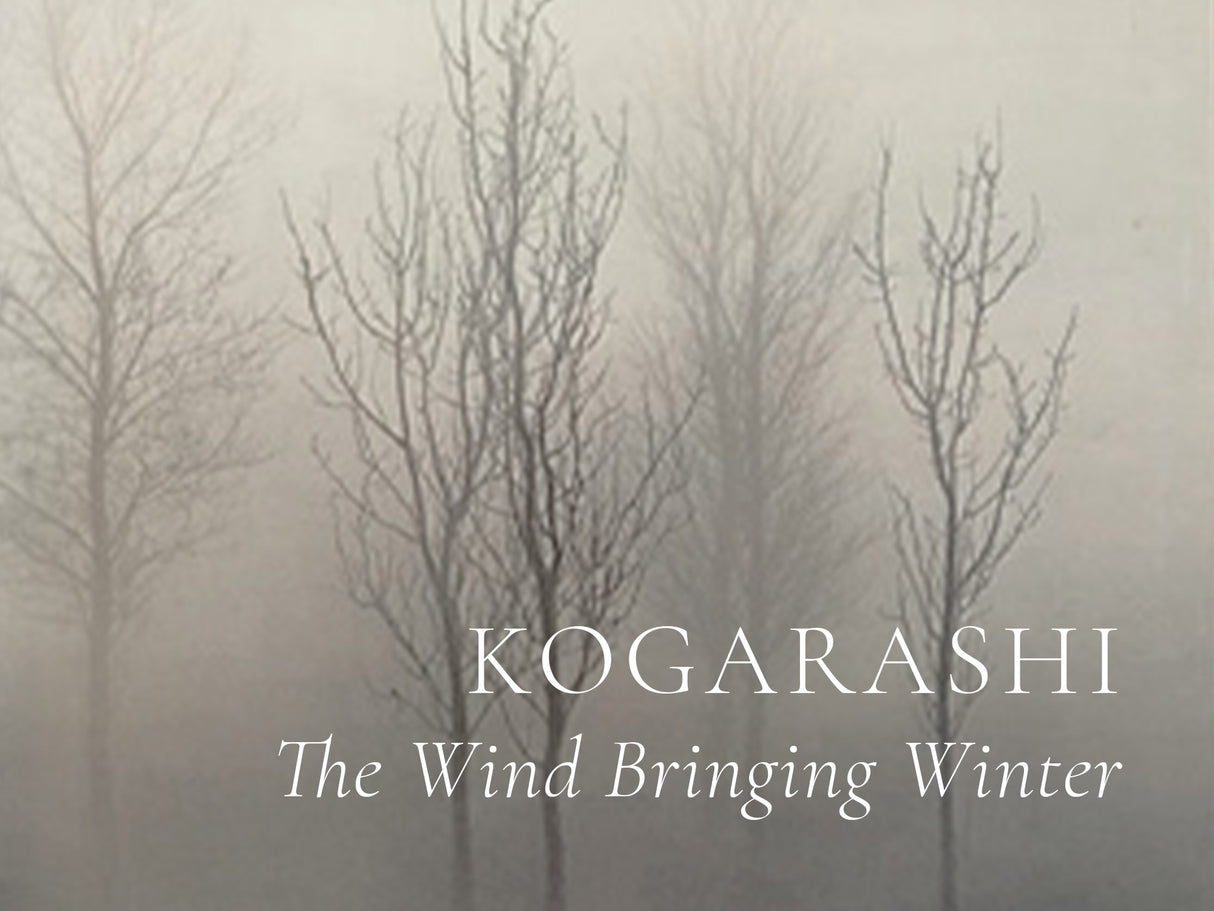 Sailor Pro Gear Slim Fountain Pen - Japanese Scenery - Kogarashi