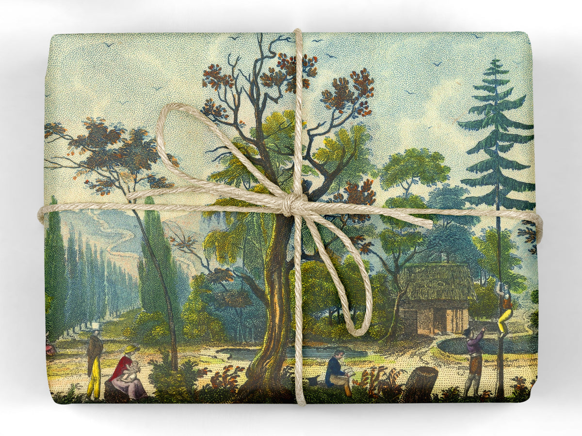 John Derian Wrapping Paper Book