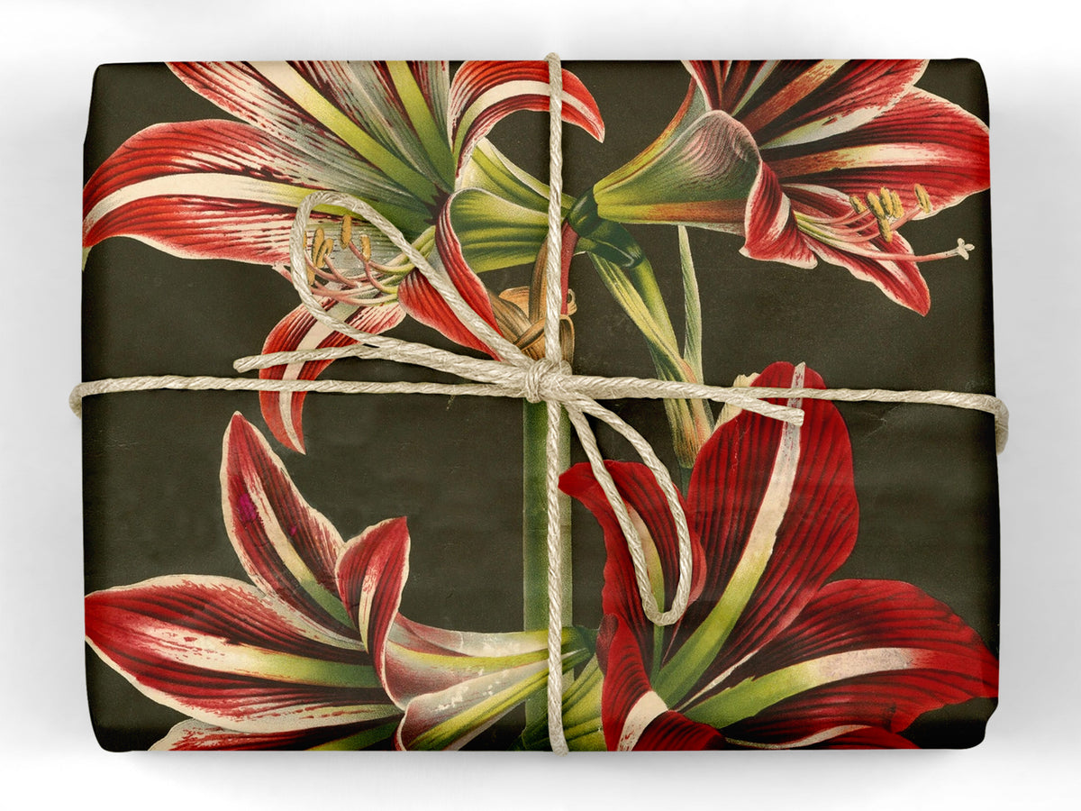 John Derian Wrapping Paper Book
