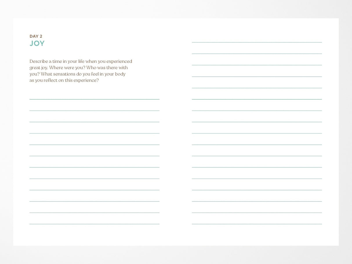 Abundance: A Guided Journal for Living a Full Life