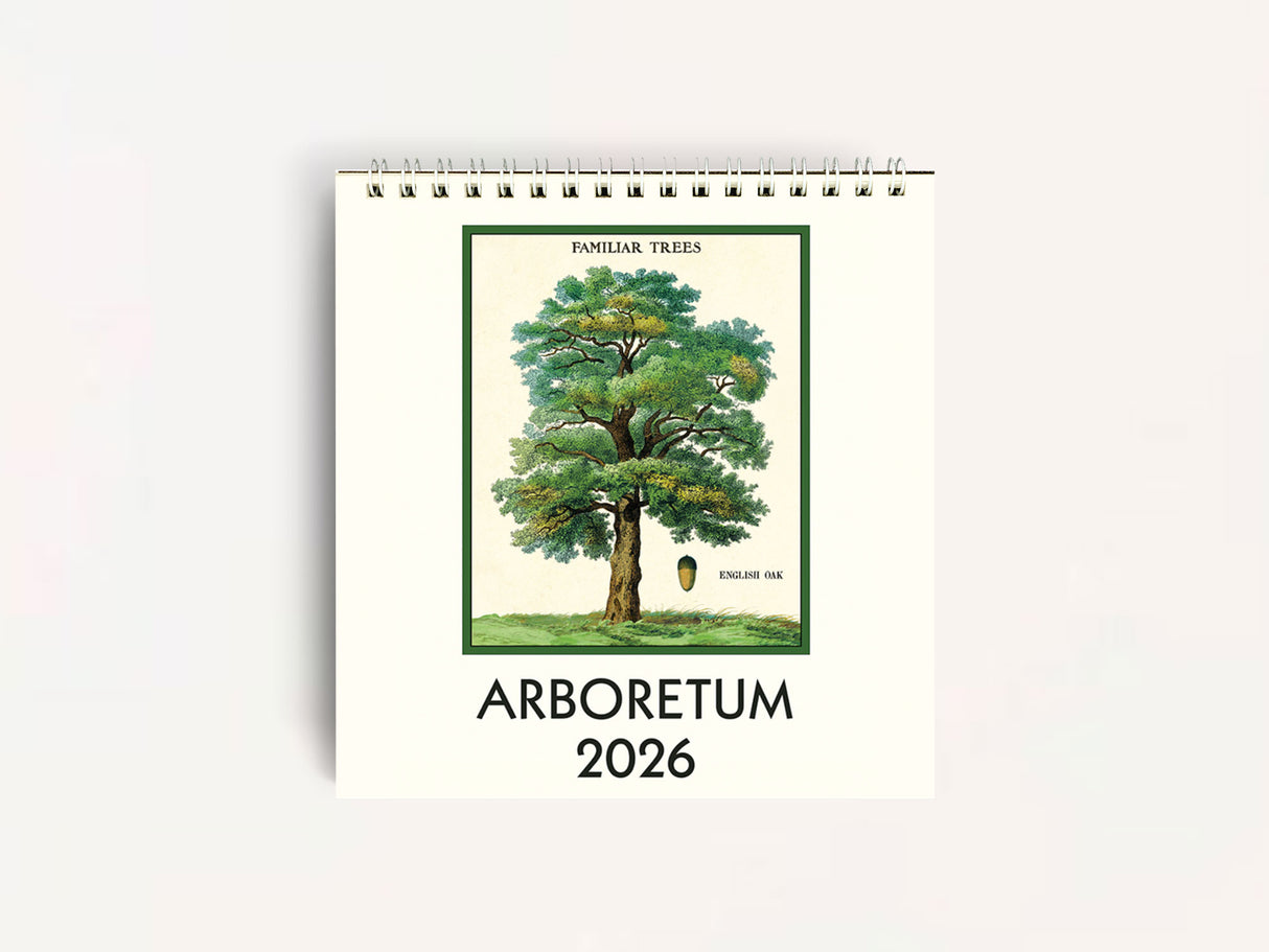 Cavallini 2026 DESK Calendar - Arboretum