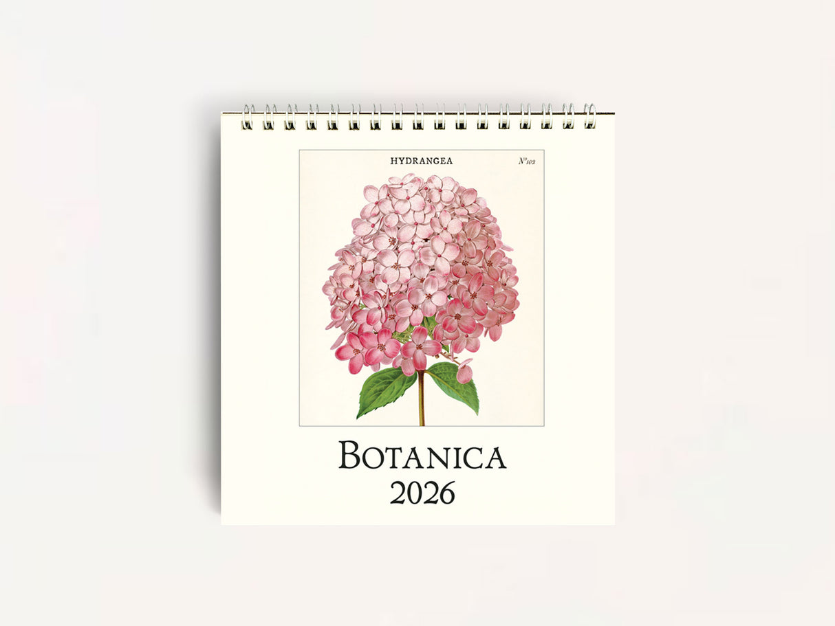 Cavallini 2026 DESK Calendar - Botanica