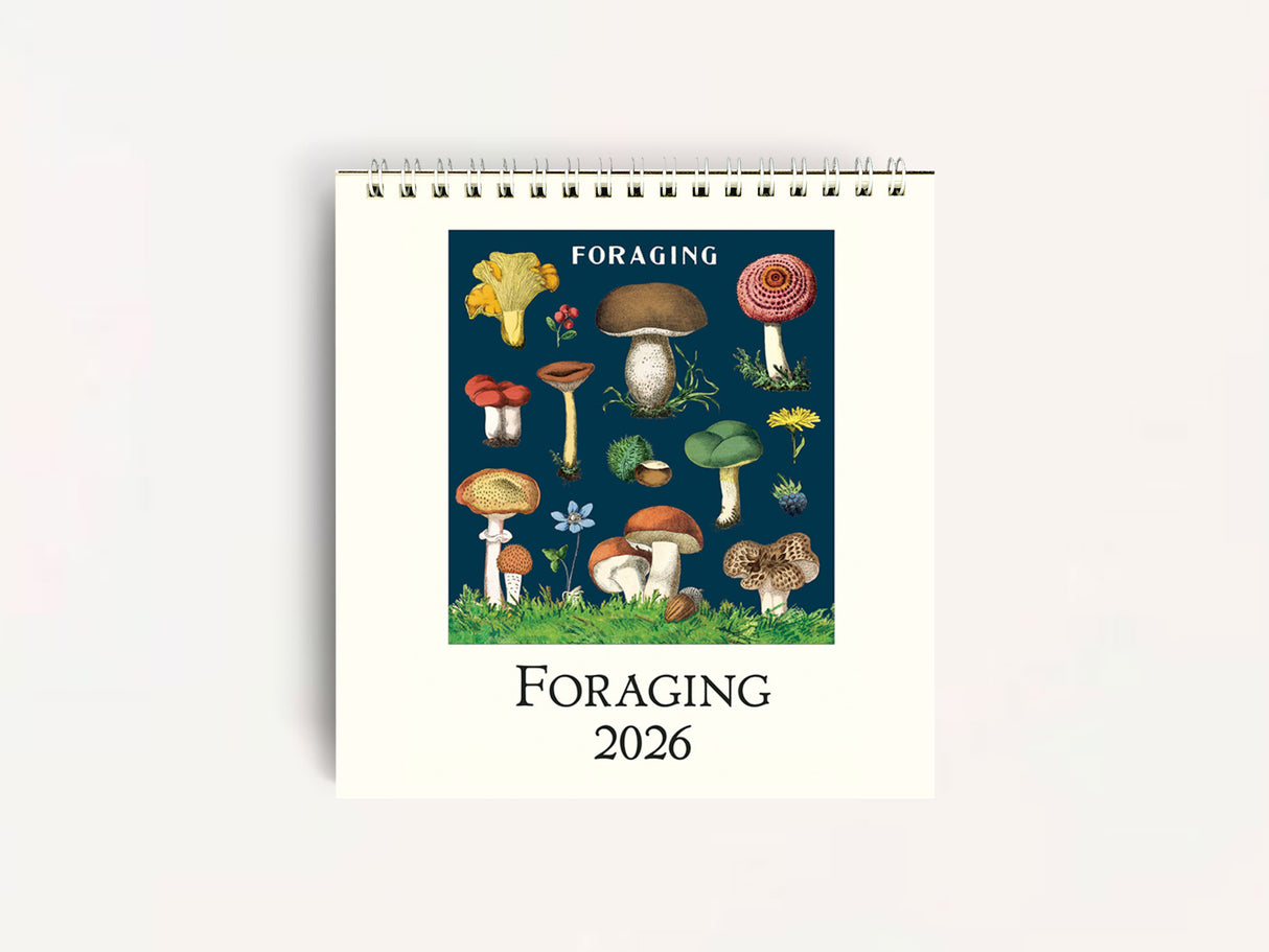 Cavallini 2026 DESK Calendar - Foraging