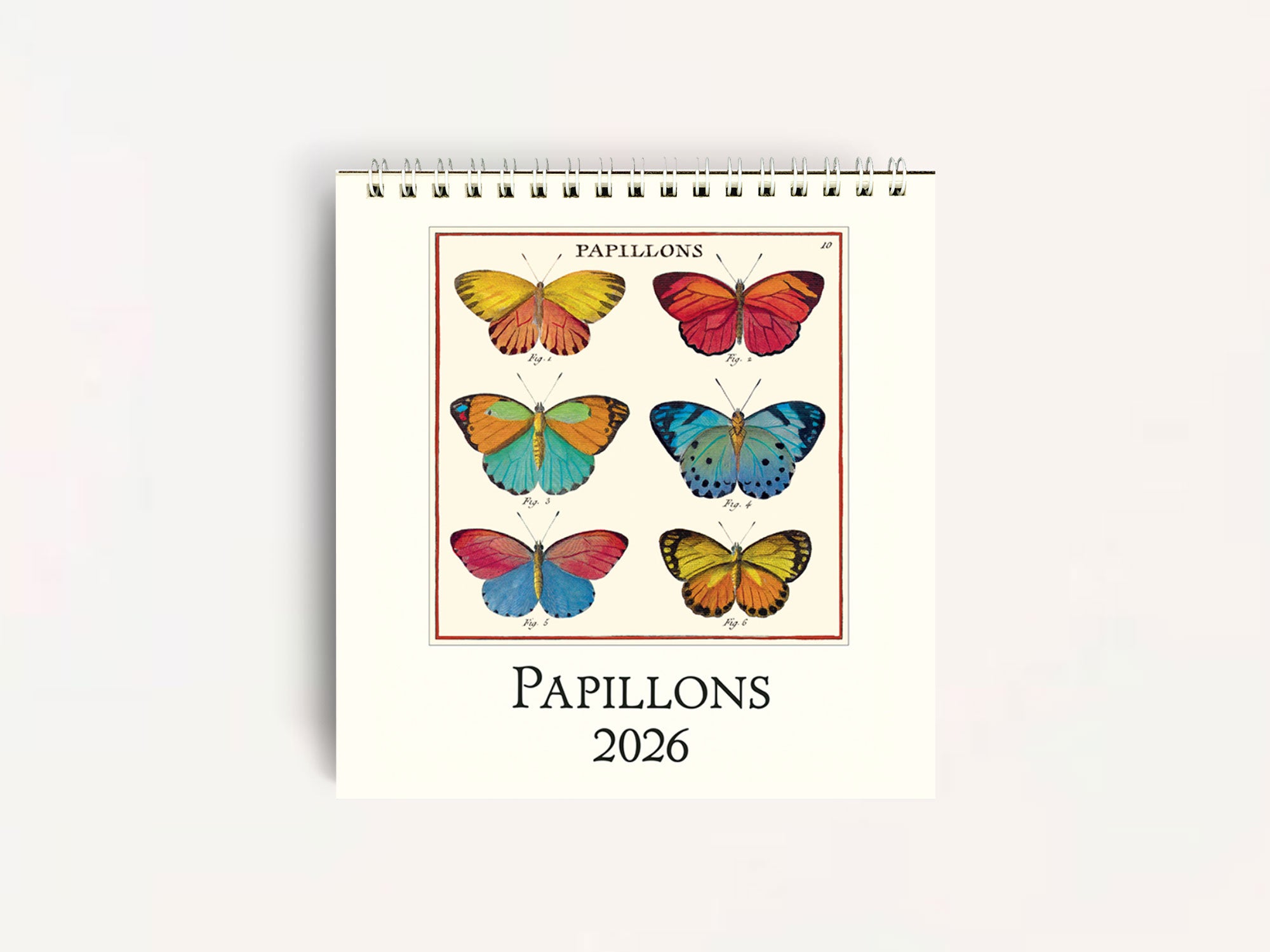 Cavallini 2026 DESK Calendar Papillons Jenni Bick Custom Journals Cavallini 2026 DESK Calendar Papillons 