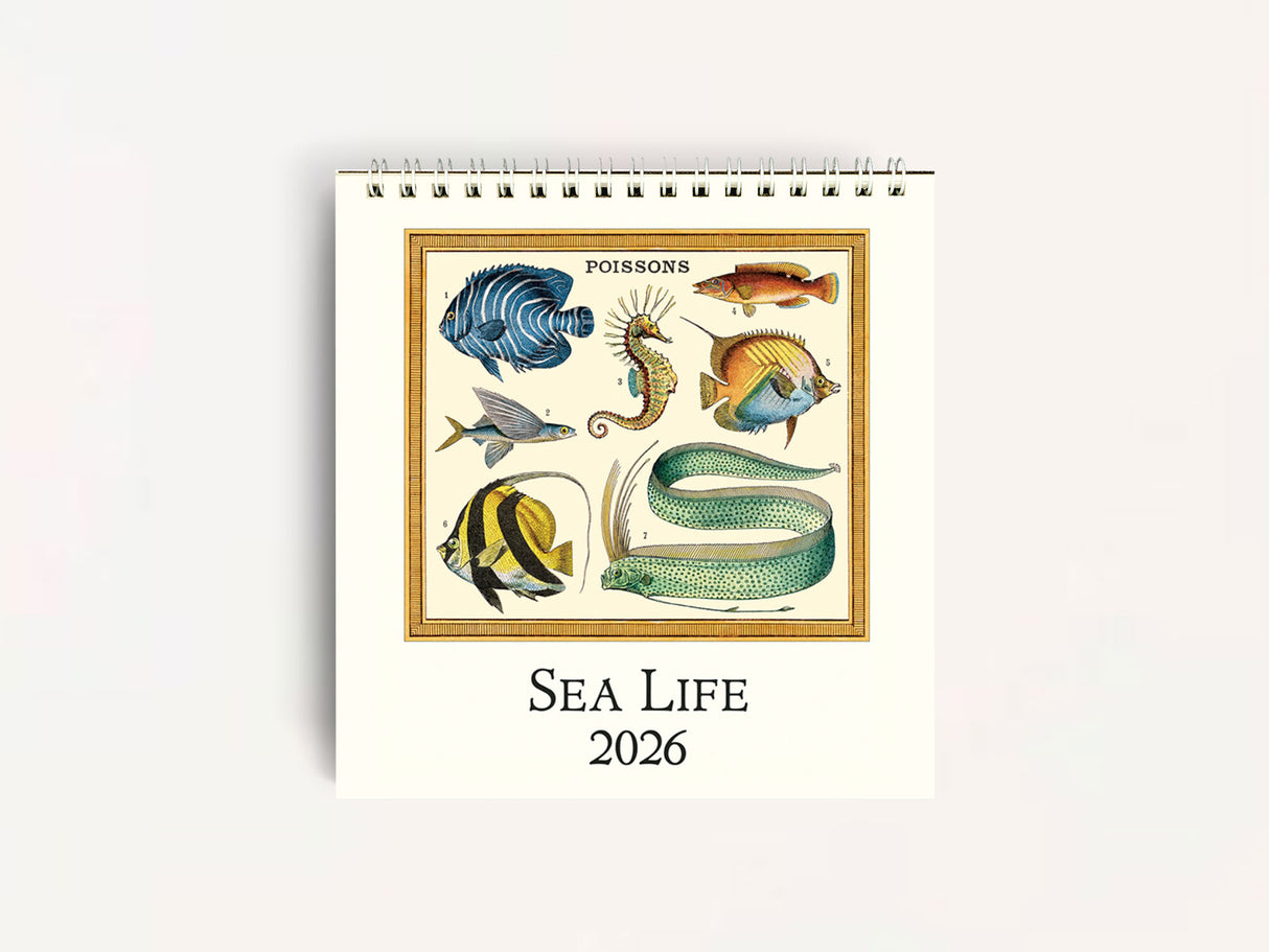 Cavallini 2026 DESK Calendar - Sea Life