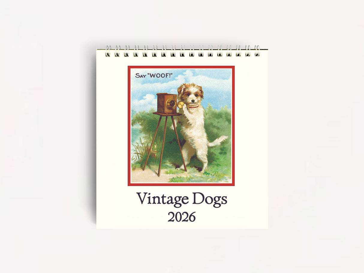 Cavallini 2026 DESK Calendar - Vintage Dogs