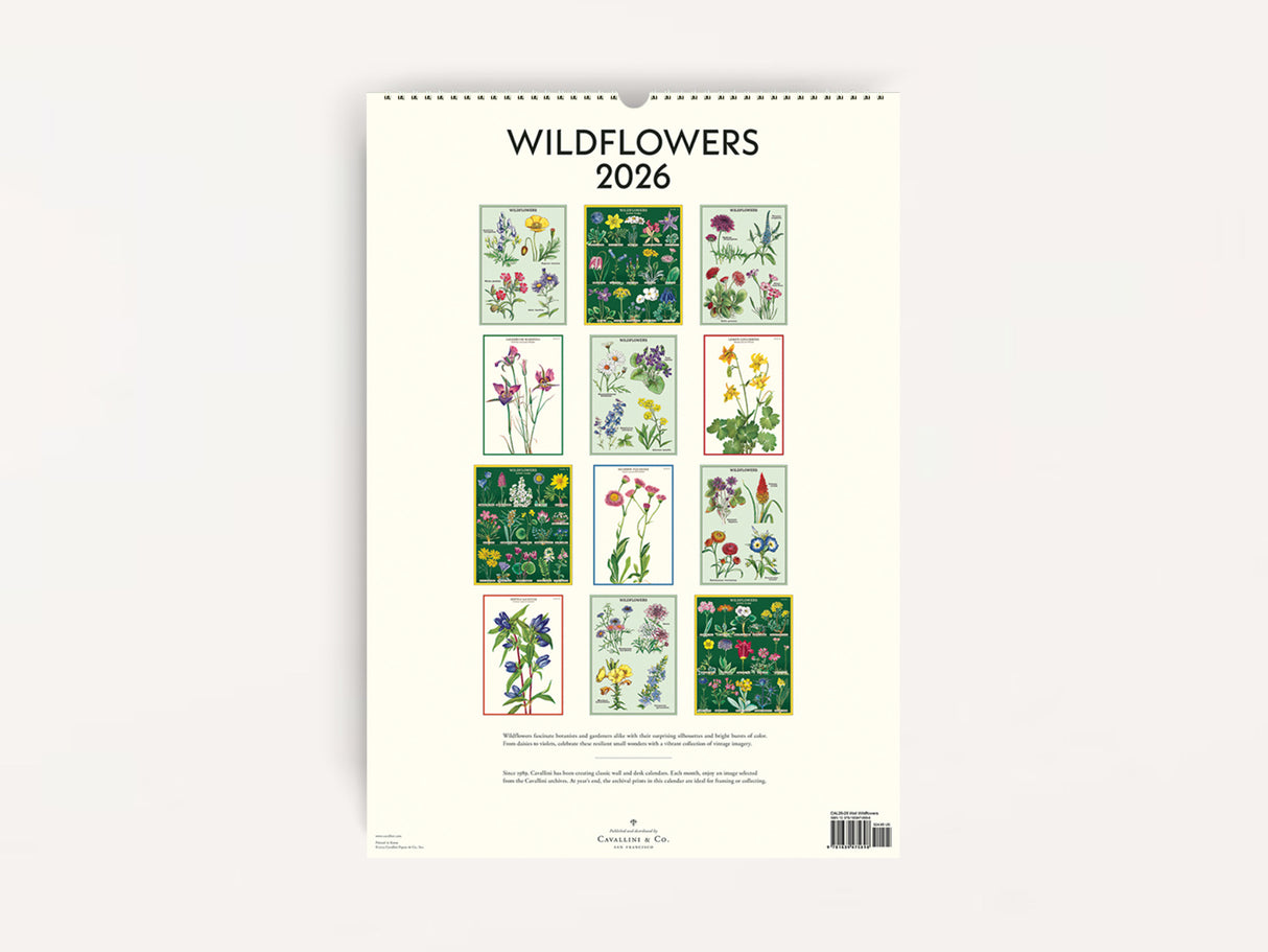 Cavallini 2026 WALL Calendar - Wildflowers