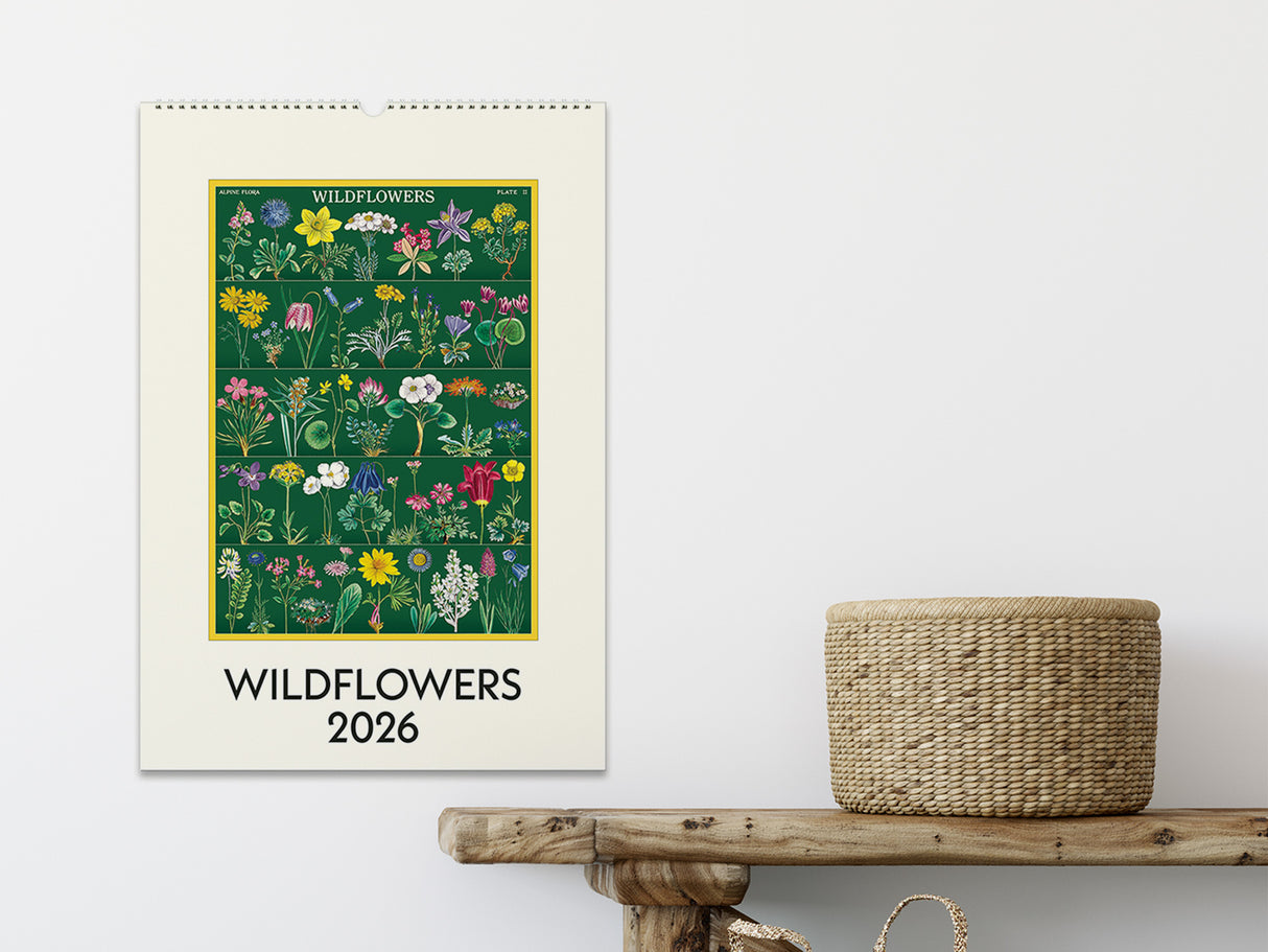 Cavallini 2026 WALL Calendar - Wildflowers