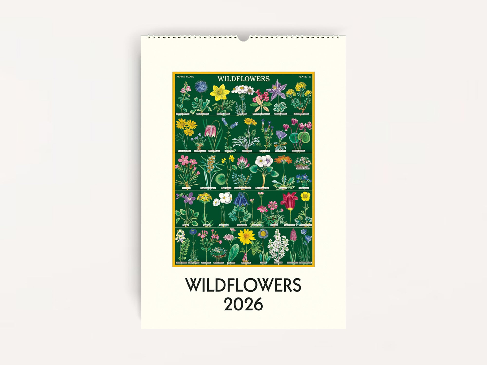 Cavallini 2026 WALL Calendar - Wildflowers – Jenni Bick Custom