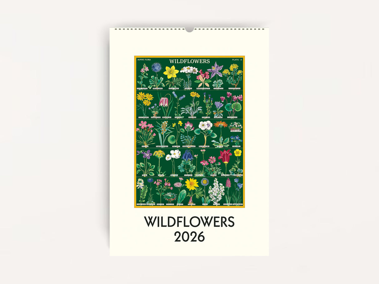 Cavallini 2026 WALL Calendar - Wildflowers