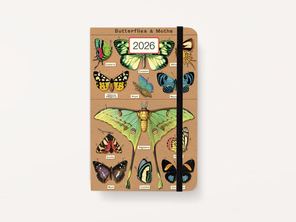 Cavallini 2026 WEEKLY PLANNER - Entomology