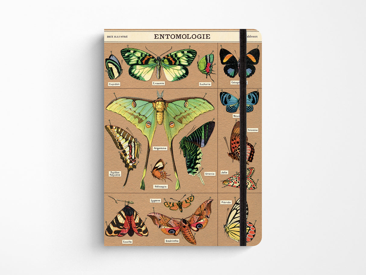 Cavallini Large Vintage Notebook - Entomology