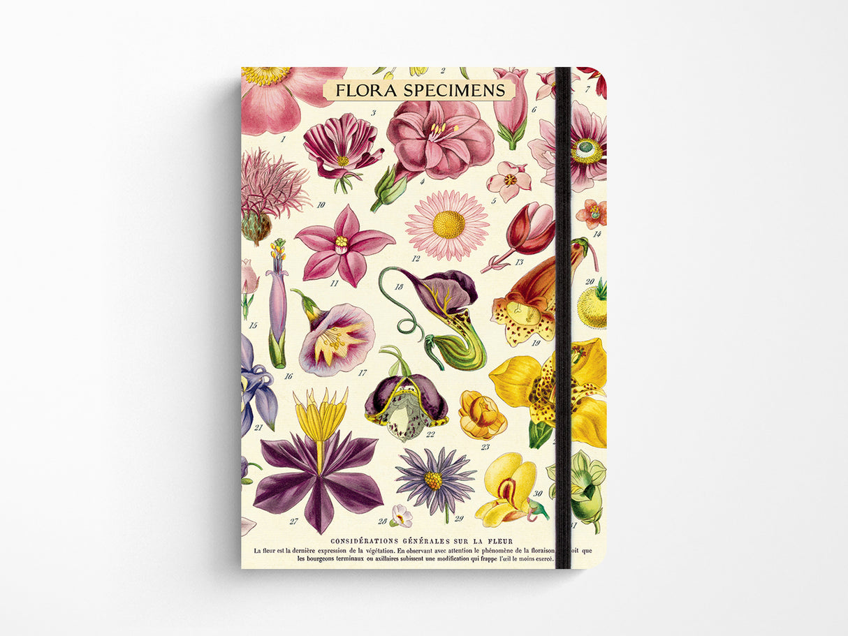 Cavallini Large Vintage Notebook - Flora Specimens
