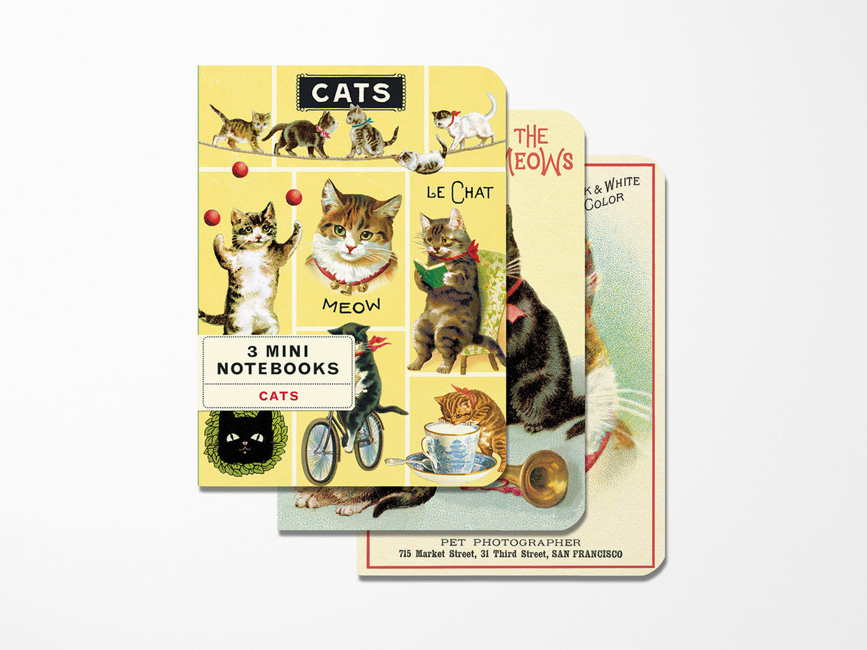 Cavallini Mini Vintage Notebooks Set of 3 - Cats