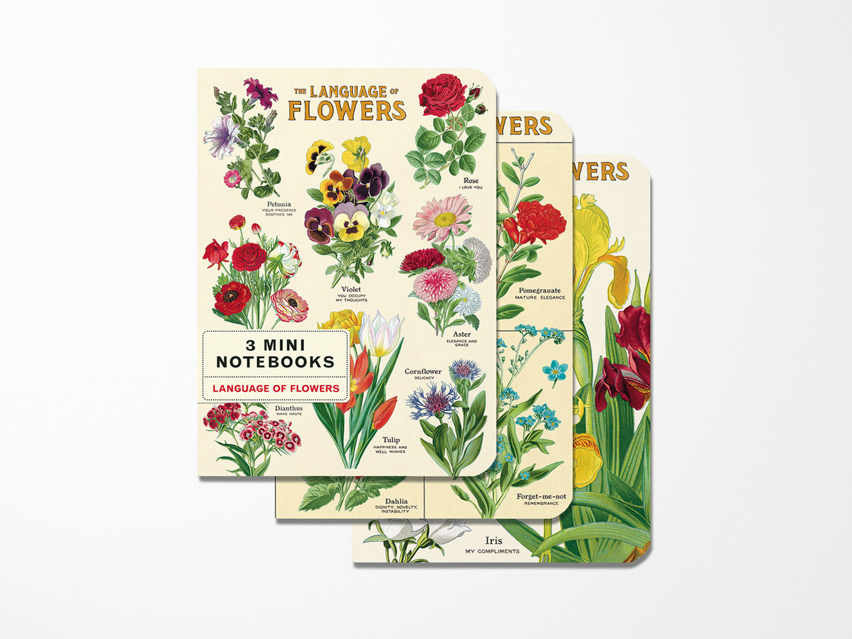 Cavallini Mini Vintage Notebooks Set of 3 - Language of Flowers
