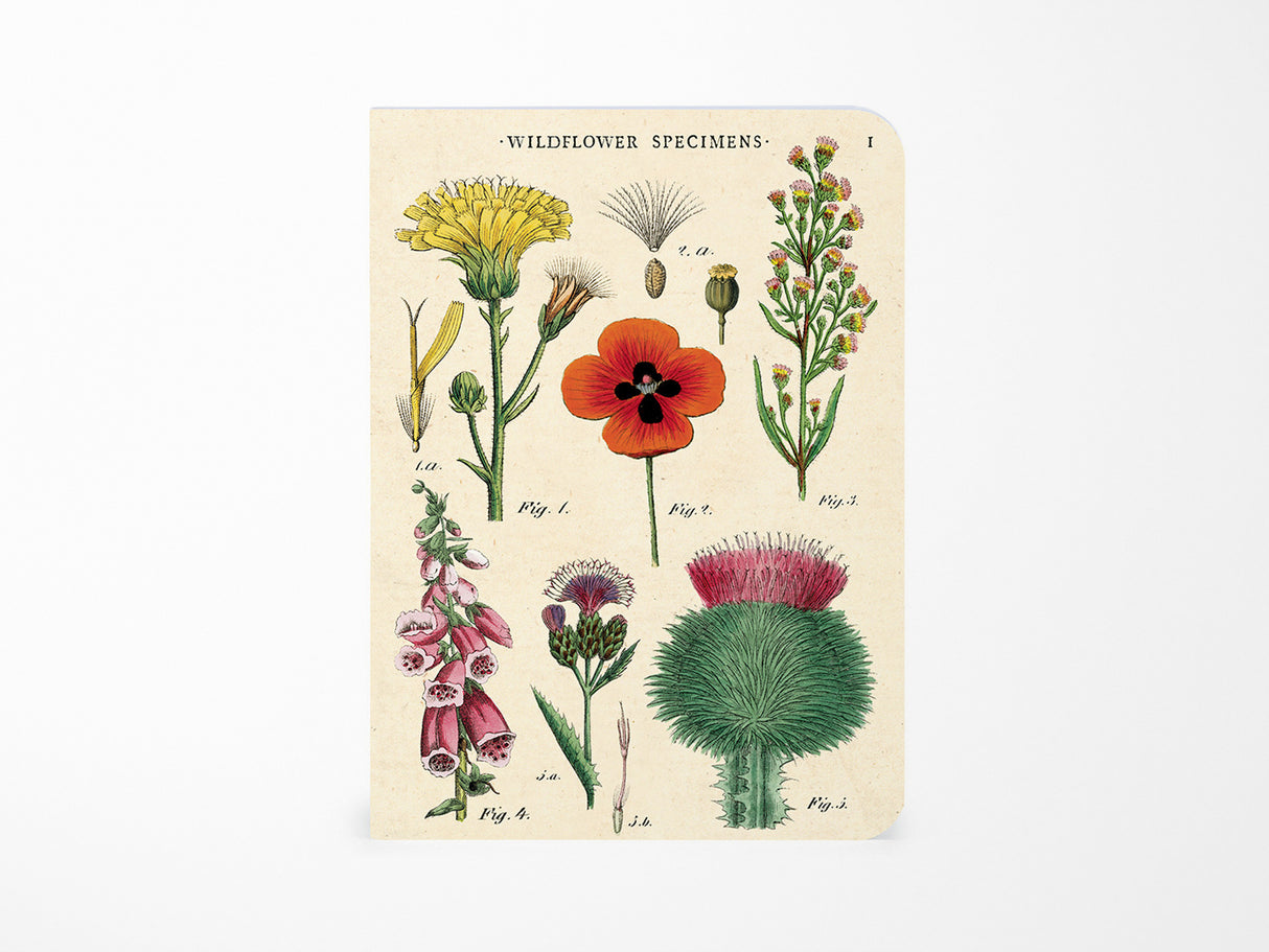 Cavallini Mini Vintage Notebooks Set of 3 - Wildflowers