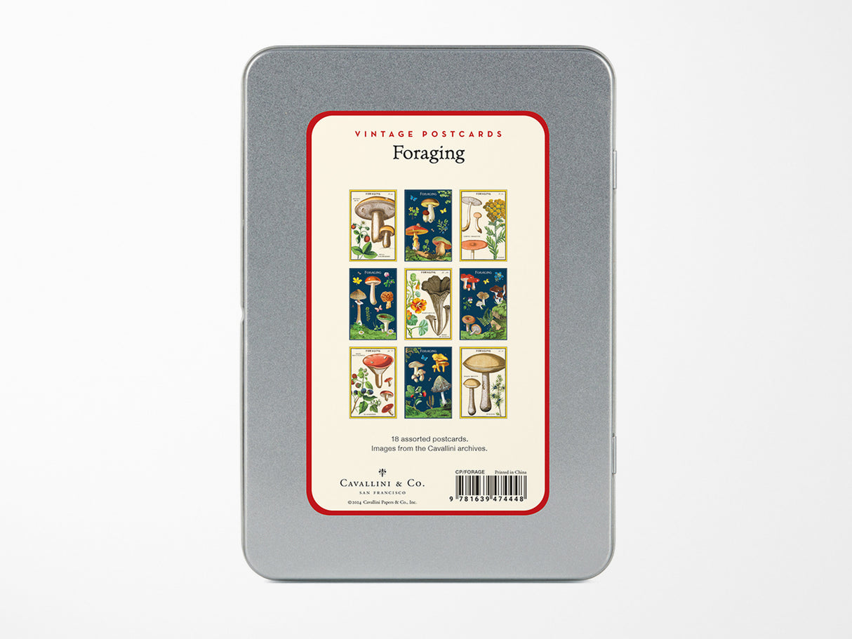Cavallini Vintage Postcards Set - Foraging