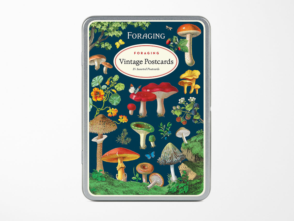 Cavallini Vintage Postcards Set - Foraging