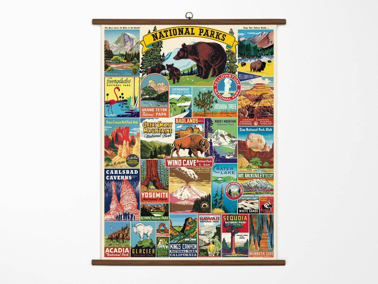 Cavallini Vintage School Chart - National Parks
