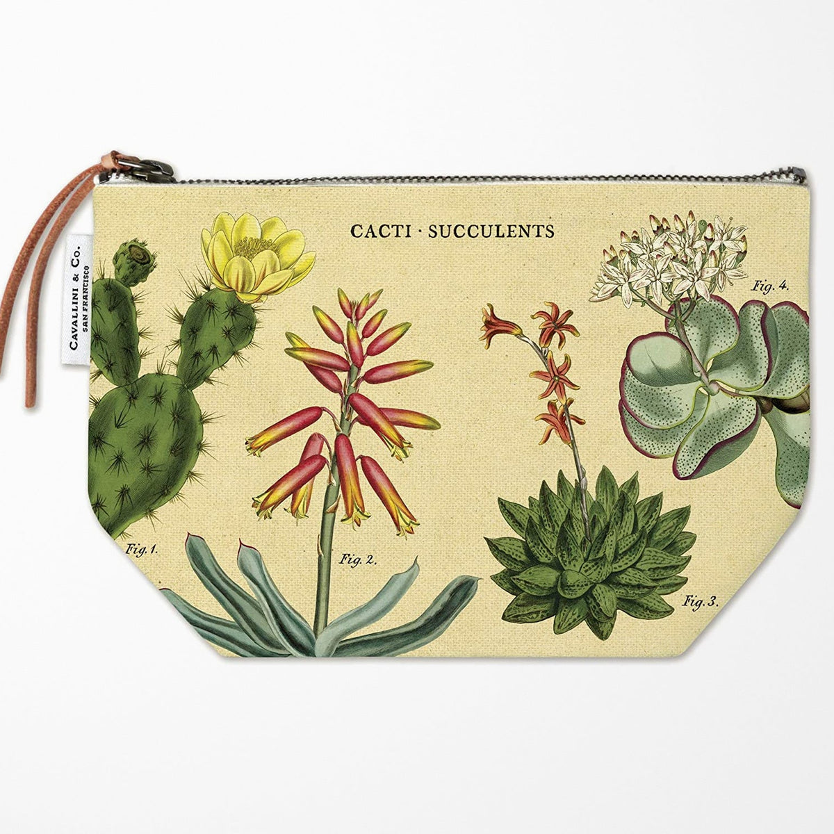 vintage succulents Cavallini Vintage Zipper Pouch