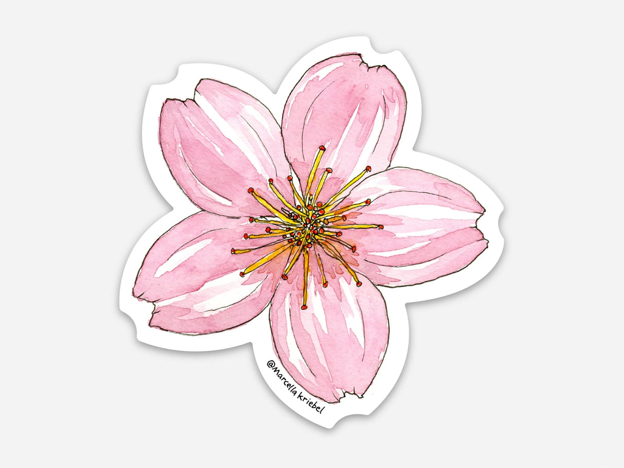 Cherry Blossom Flower Sticker
