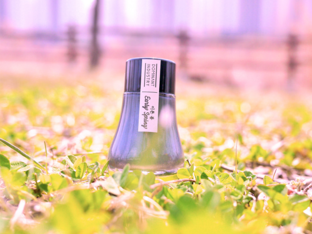 Dominant Industry Bottled Ink 022 Early Spring