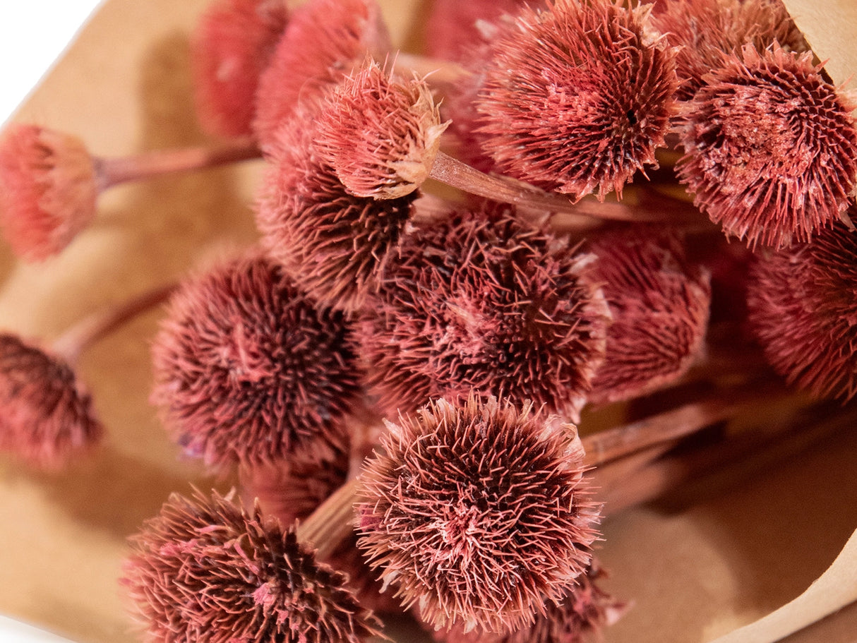 Dried Wildflowers Medium Bouquet Bundle