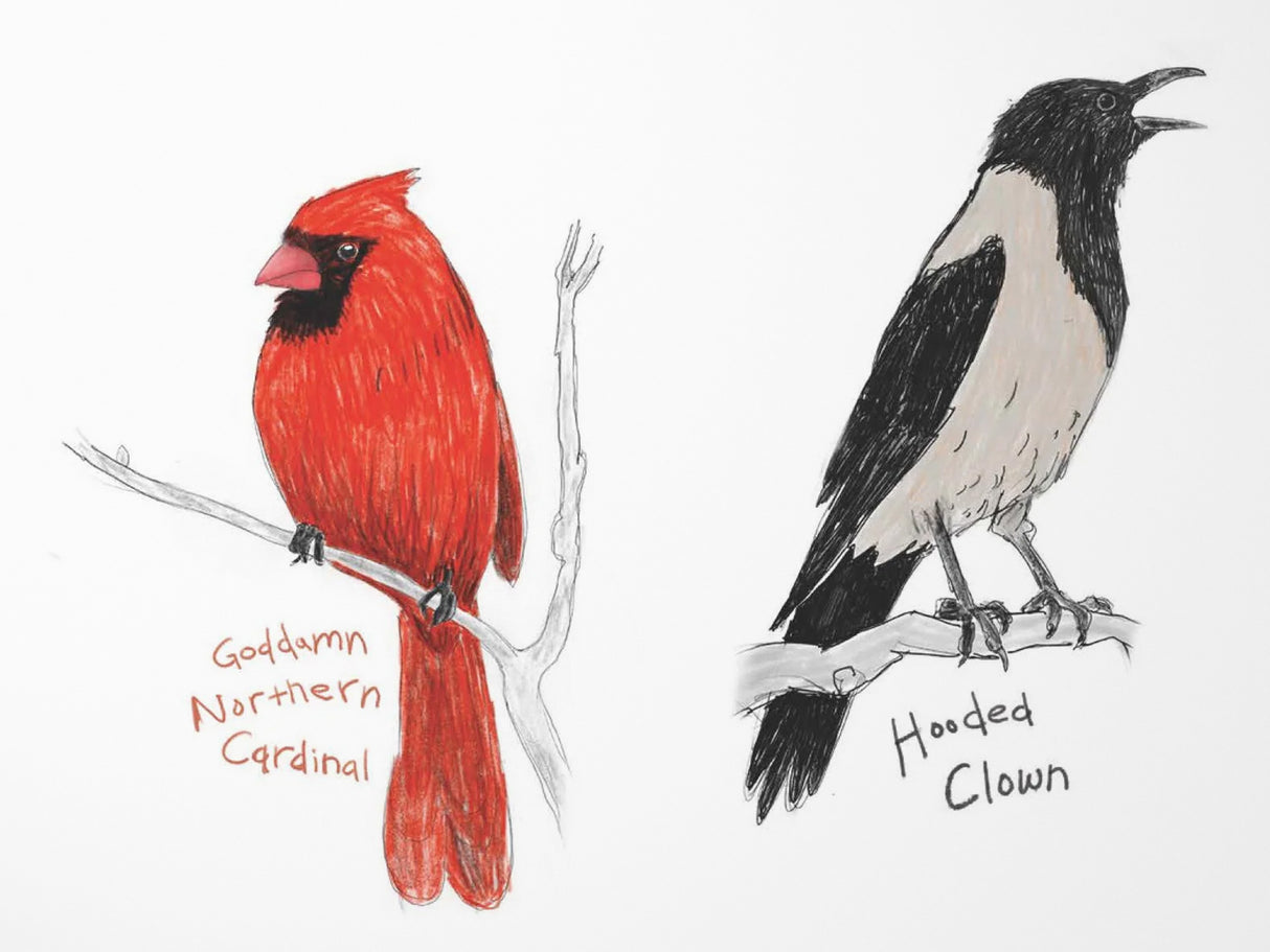 Field Guide to Dumb Birds Sticker Book