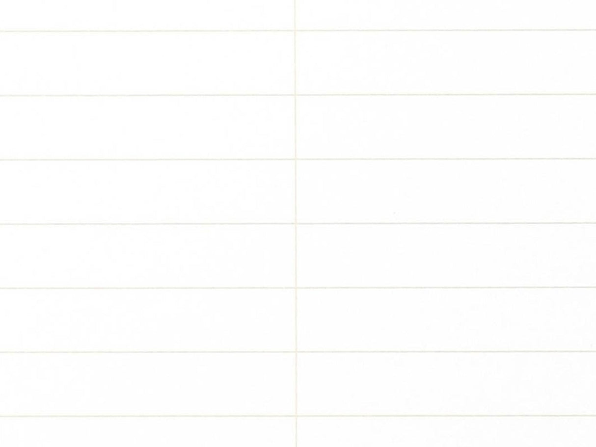 Field Notes 80-Page Steno Book