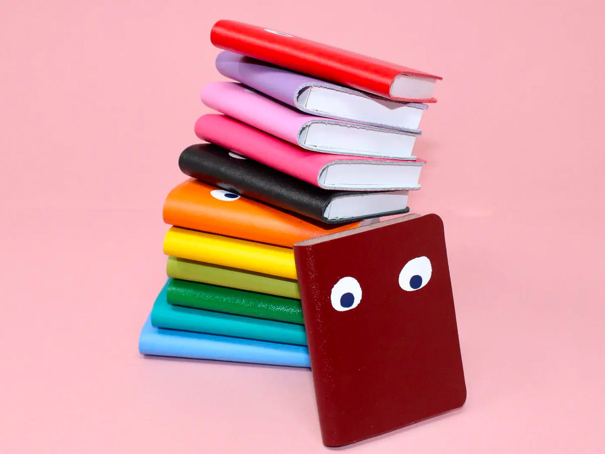 Googly Eyes Mini Notebook