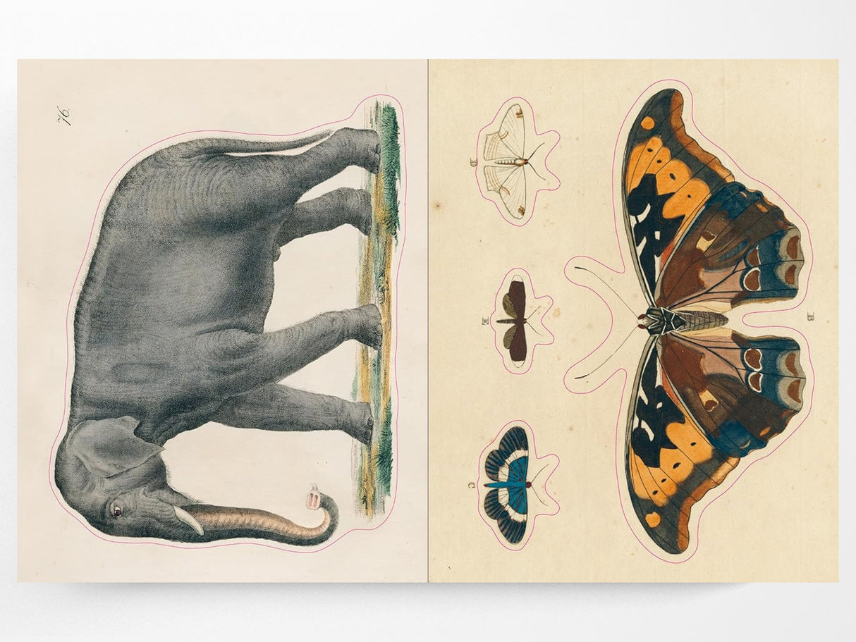 John Derian Sticker Book