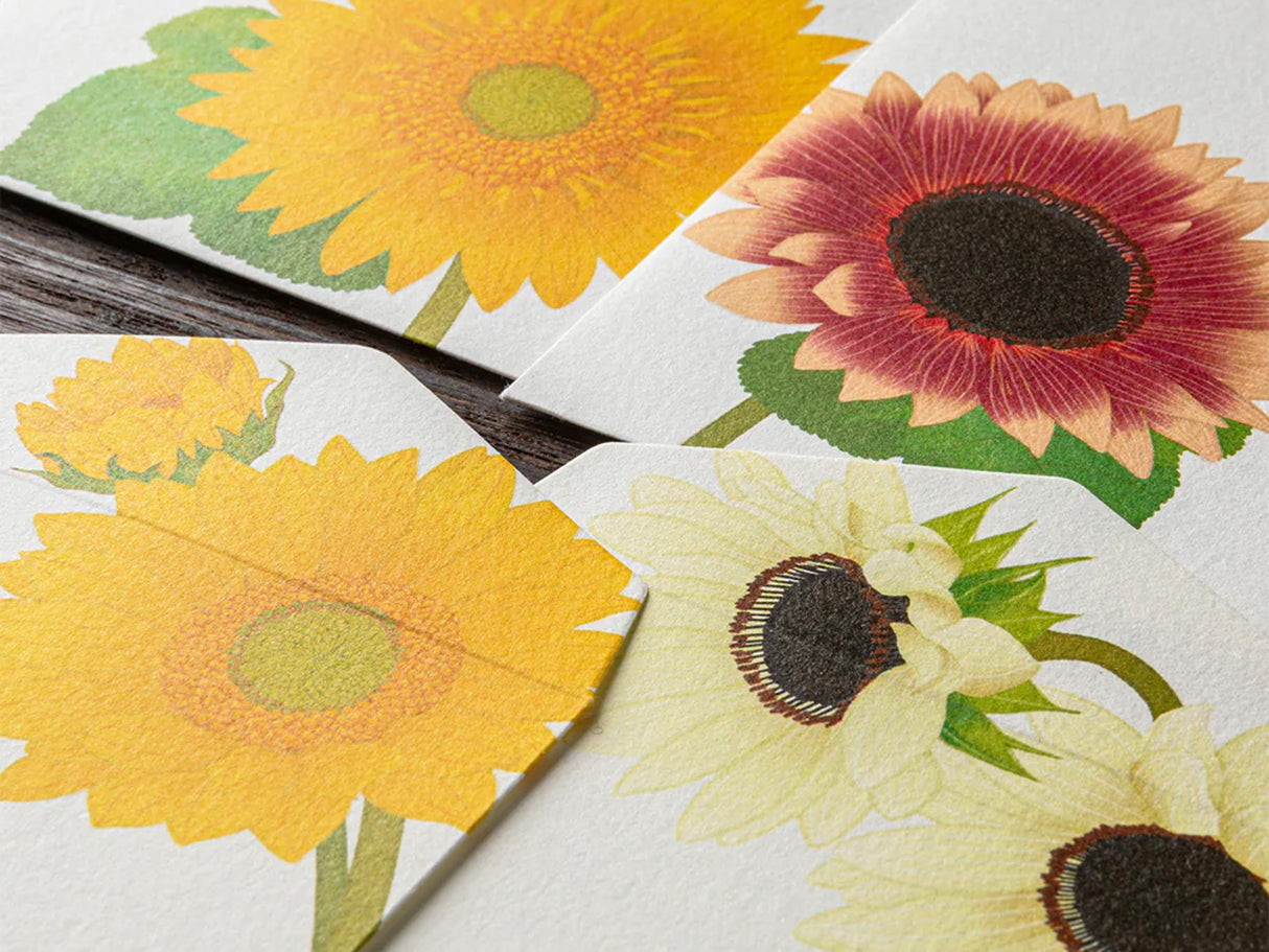 Midori Seasonal Envelopes - 026 Four Designs Sunflower