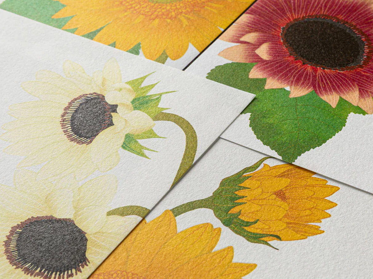 Midori Seasonal Letter Pad - 025 Four Designs Sunflower