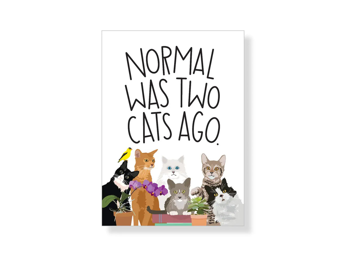 Normal Was Two Cats Ago Magnet