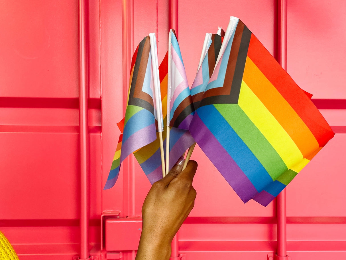 Progress Pride Flag Stick