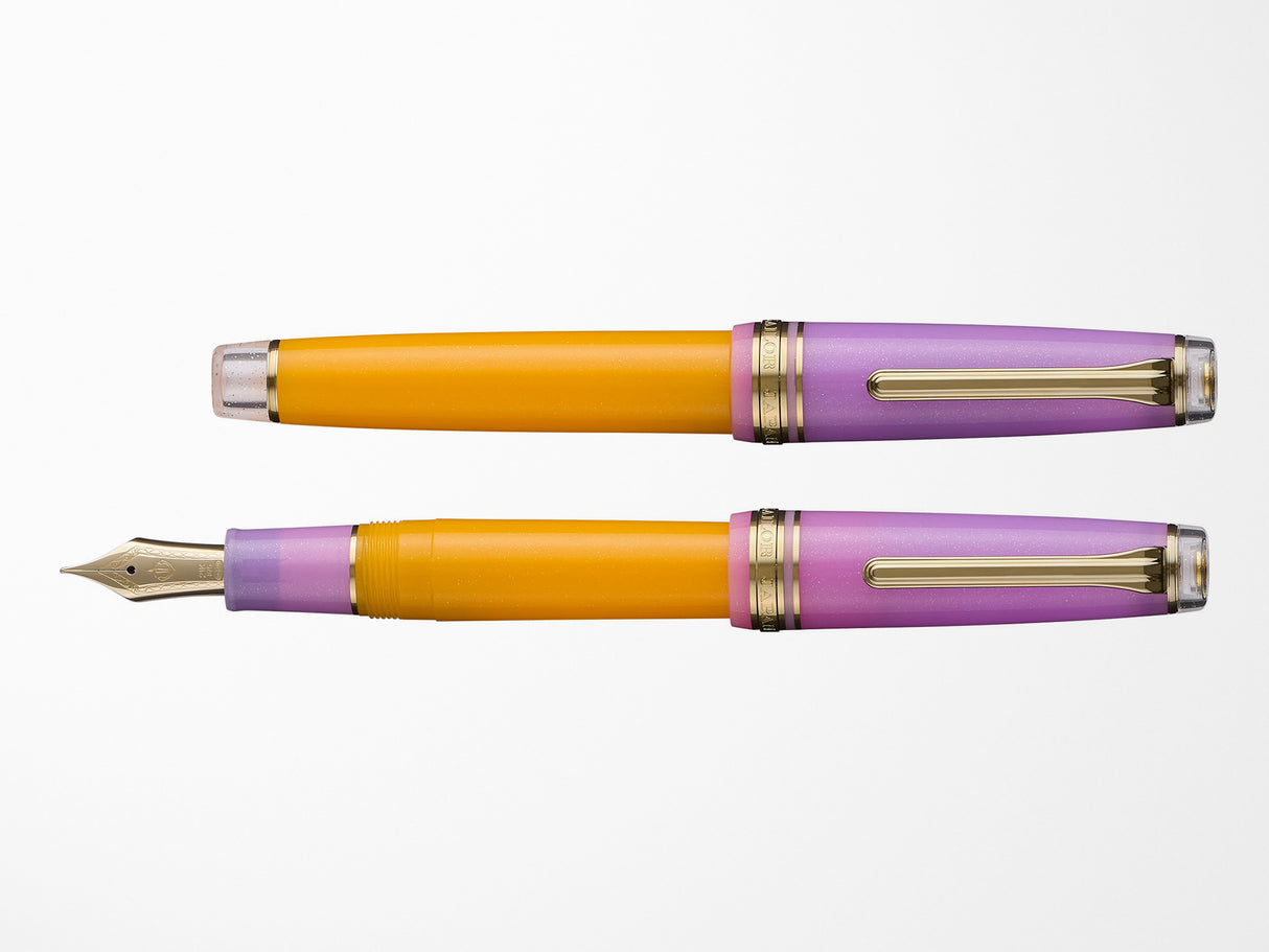 Sailor Pro Gear Fountain Pen - Smoothie 2 - Acai Berry