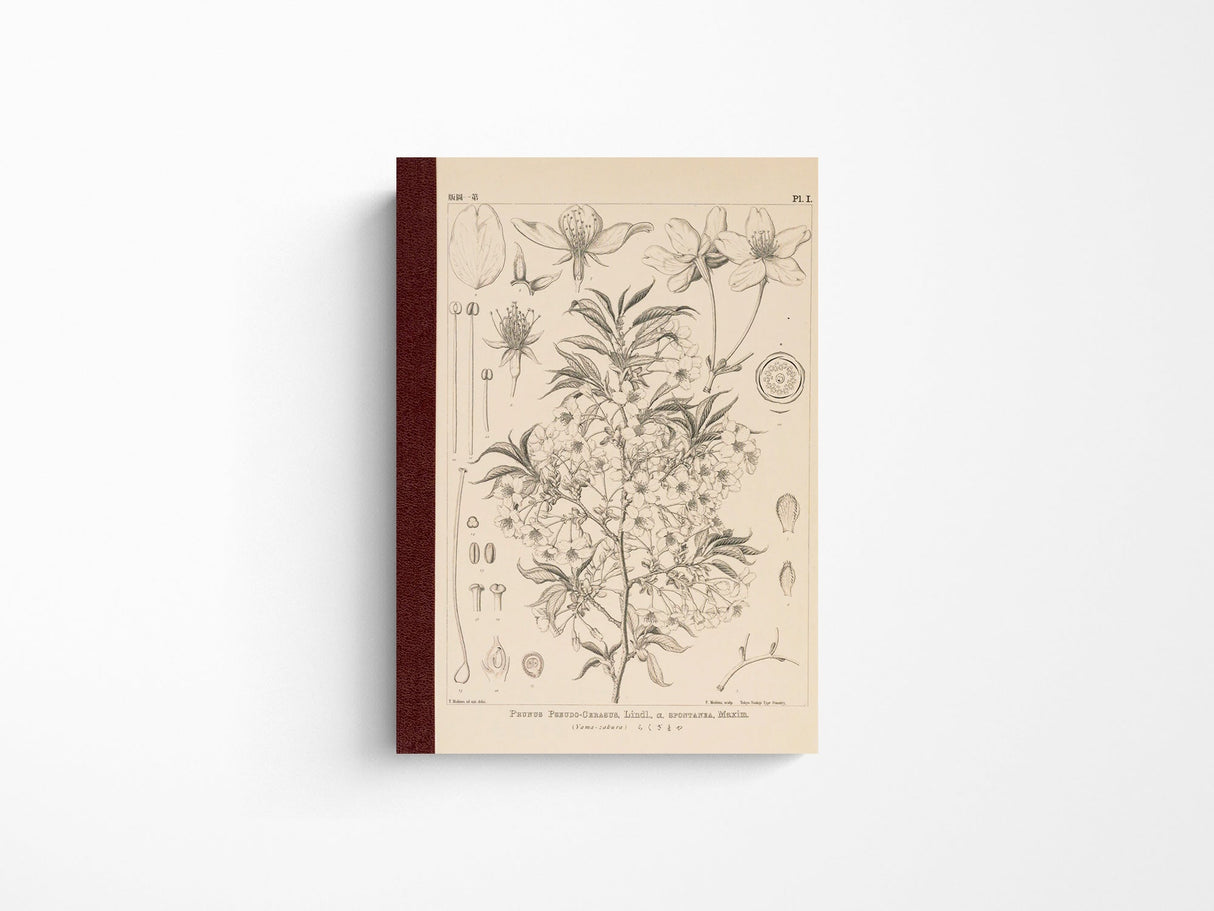 Tomitaro Makino: Hobonichi Graph Notebook A6 - Yamazakura