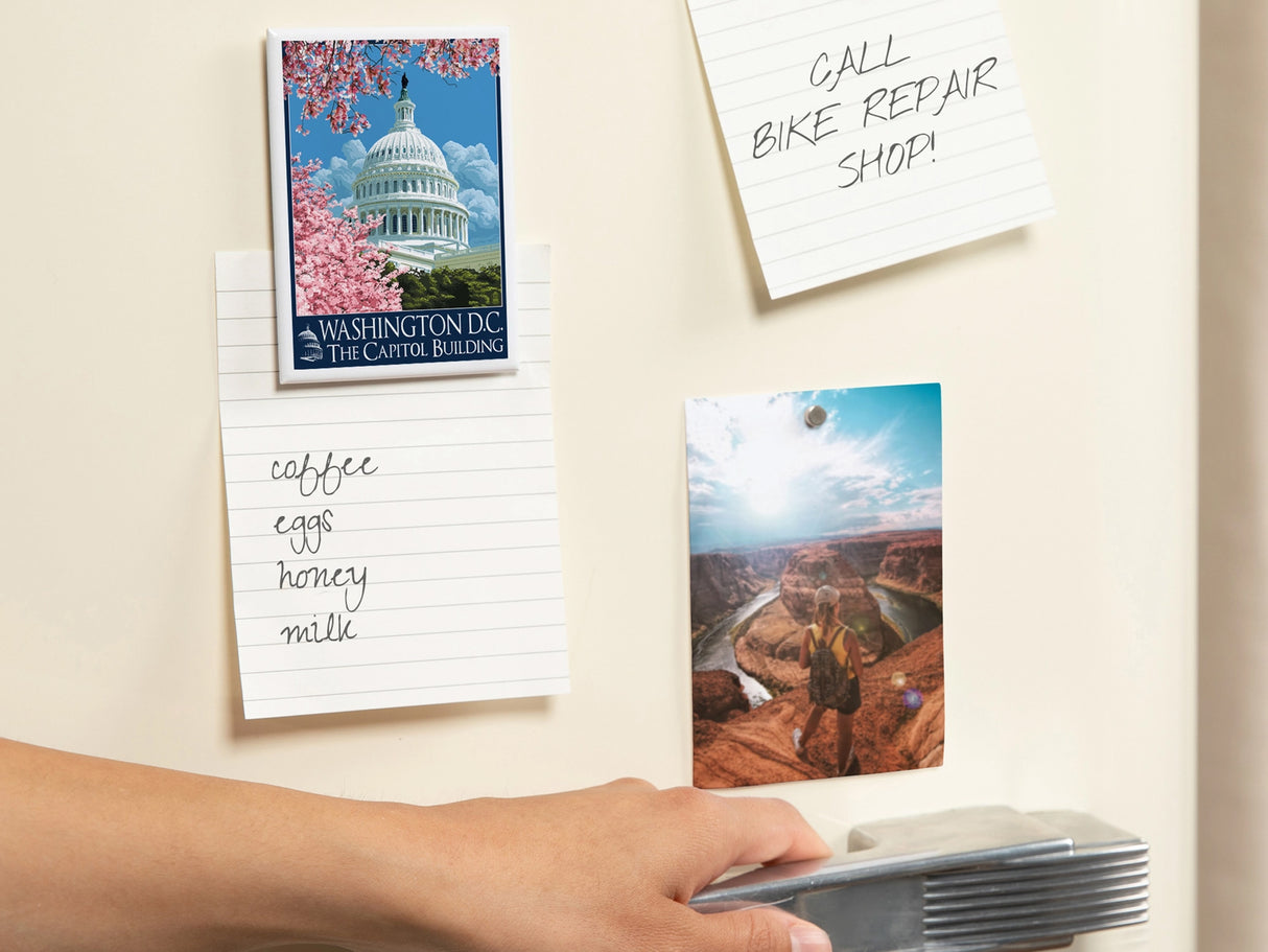 US Capitol and Cherry Blossoms Magnet