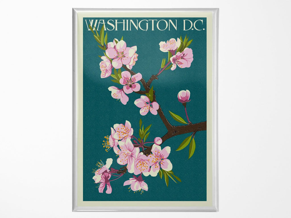 Washington DC Blue Cherry Blossoms Magnet