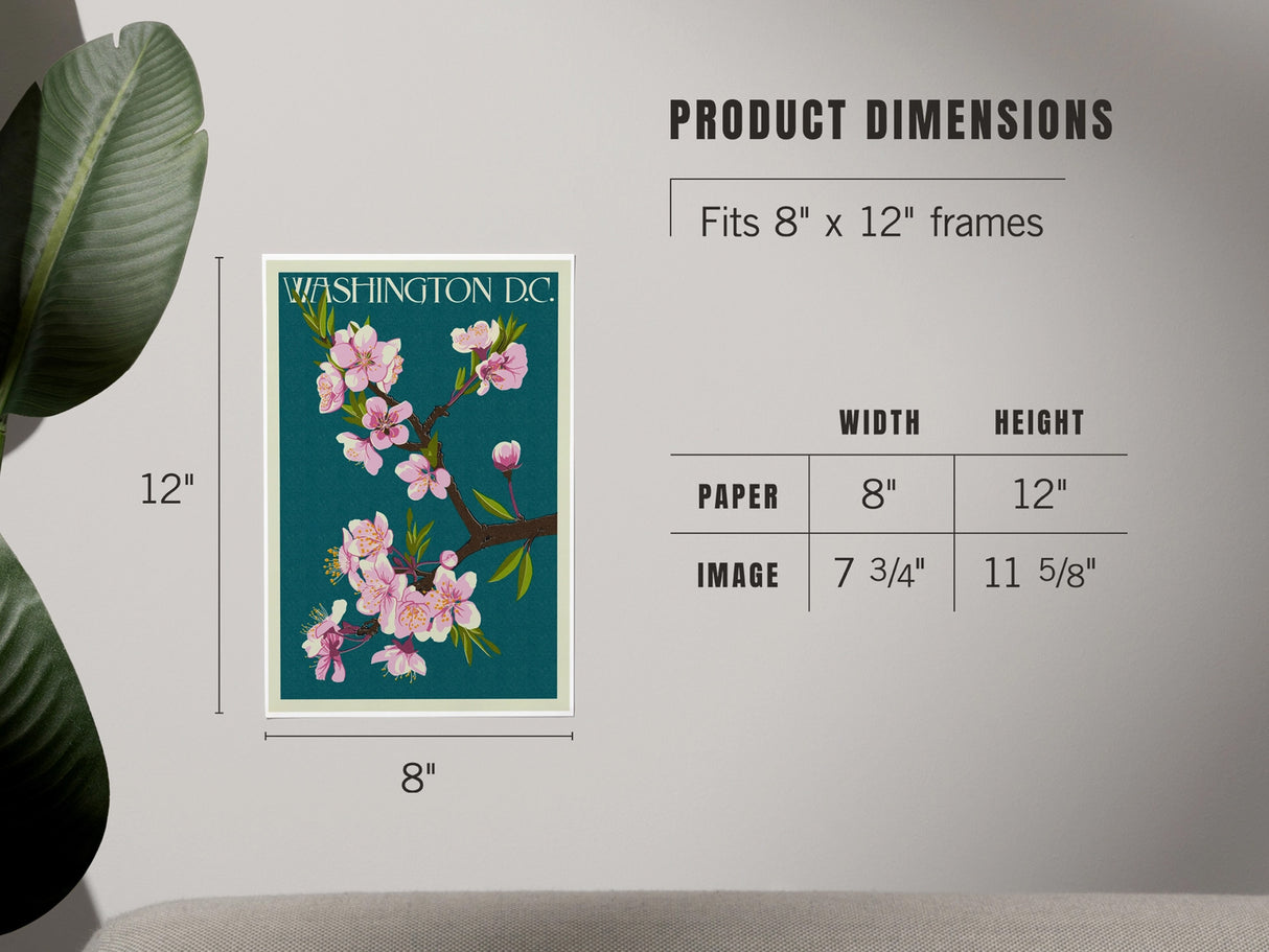 Washington DC Cherry Blossoms Art Print