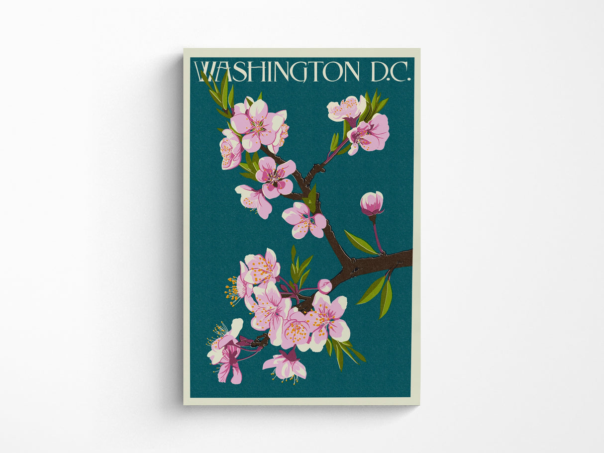 Washington DC Cherry Blossoms Art Print
