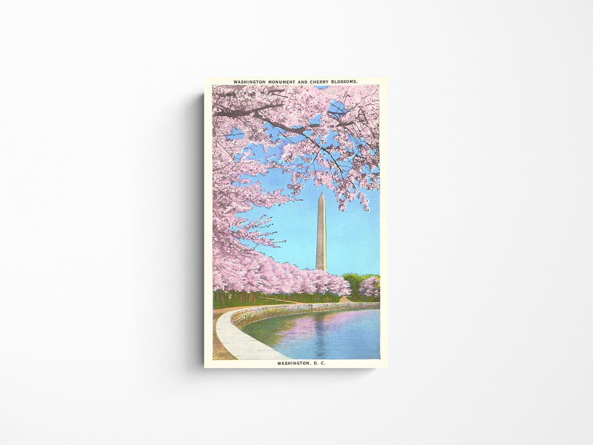 Washington DC Historical Photos Magnet