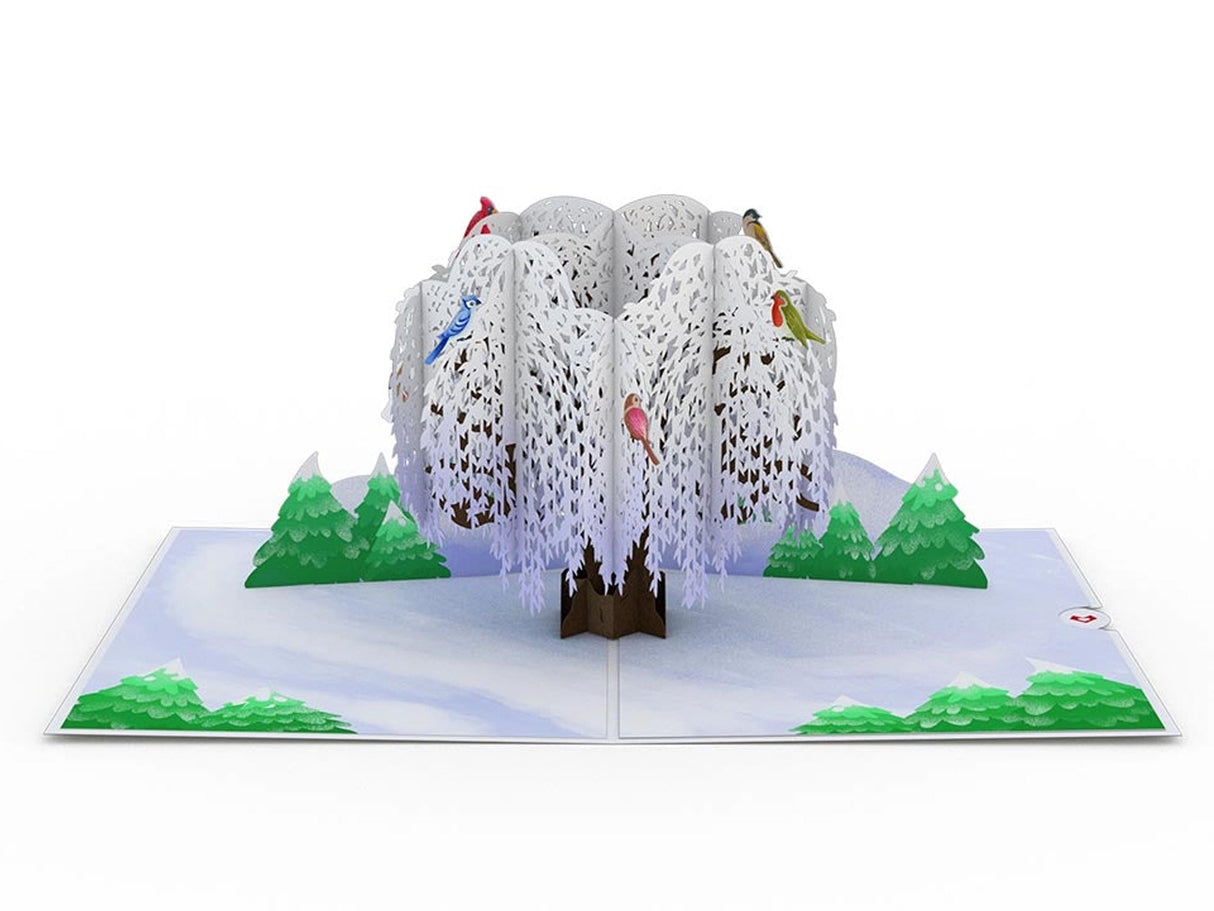 Winter Willow Pop-Up Card