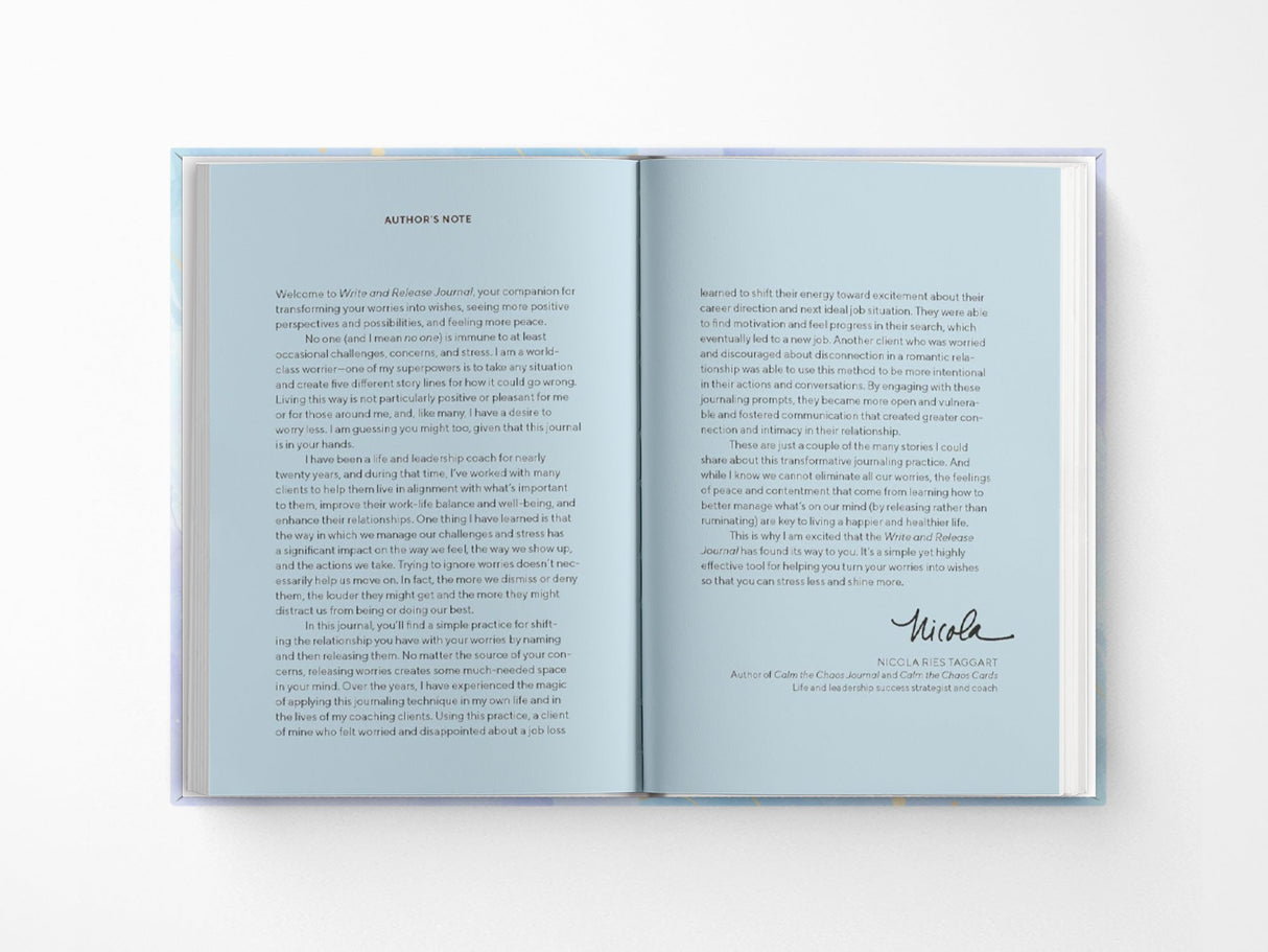 Write and Release Notebook