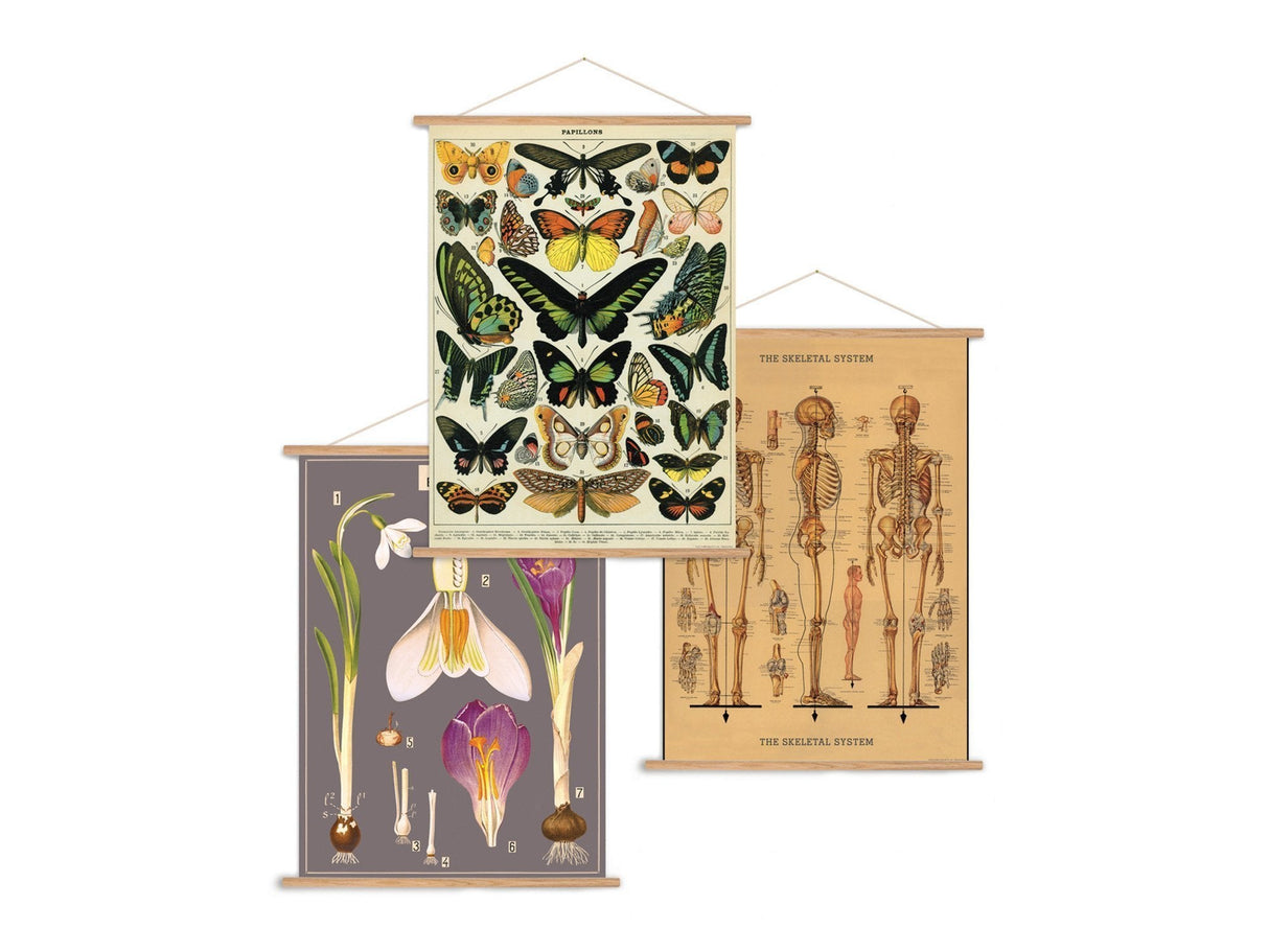 Cavallini Vintage Poster Kit