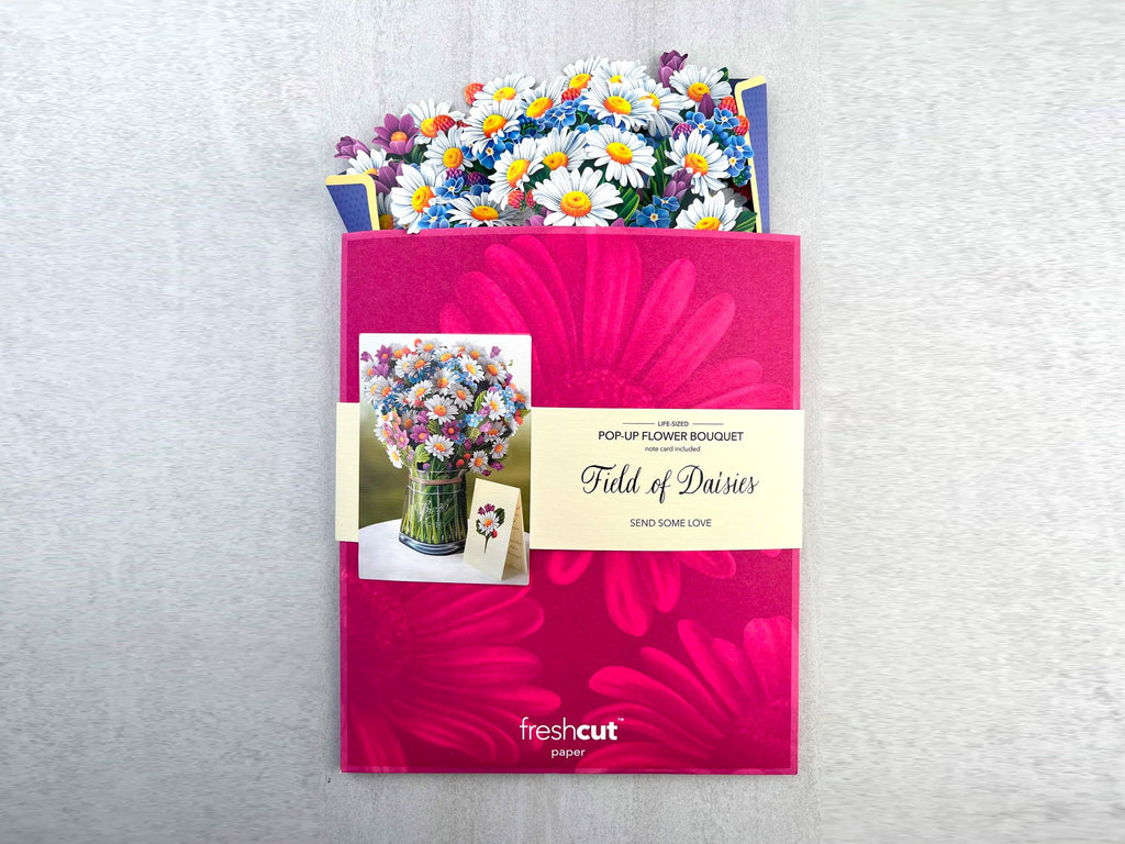 Field of Daisies Pop Up Greeting Bouquet