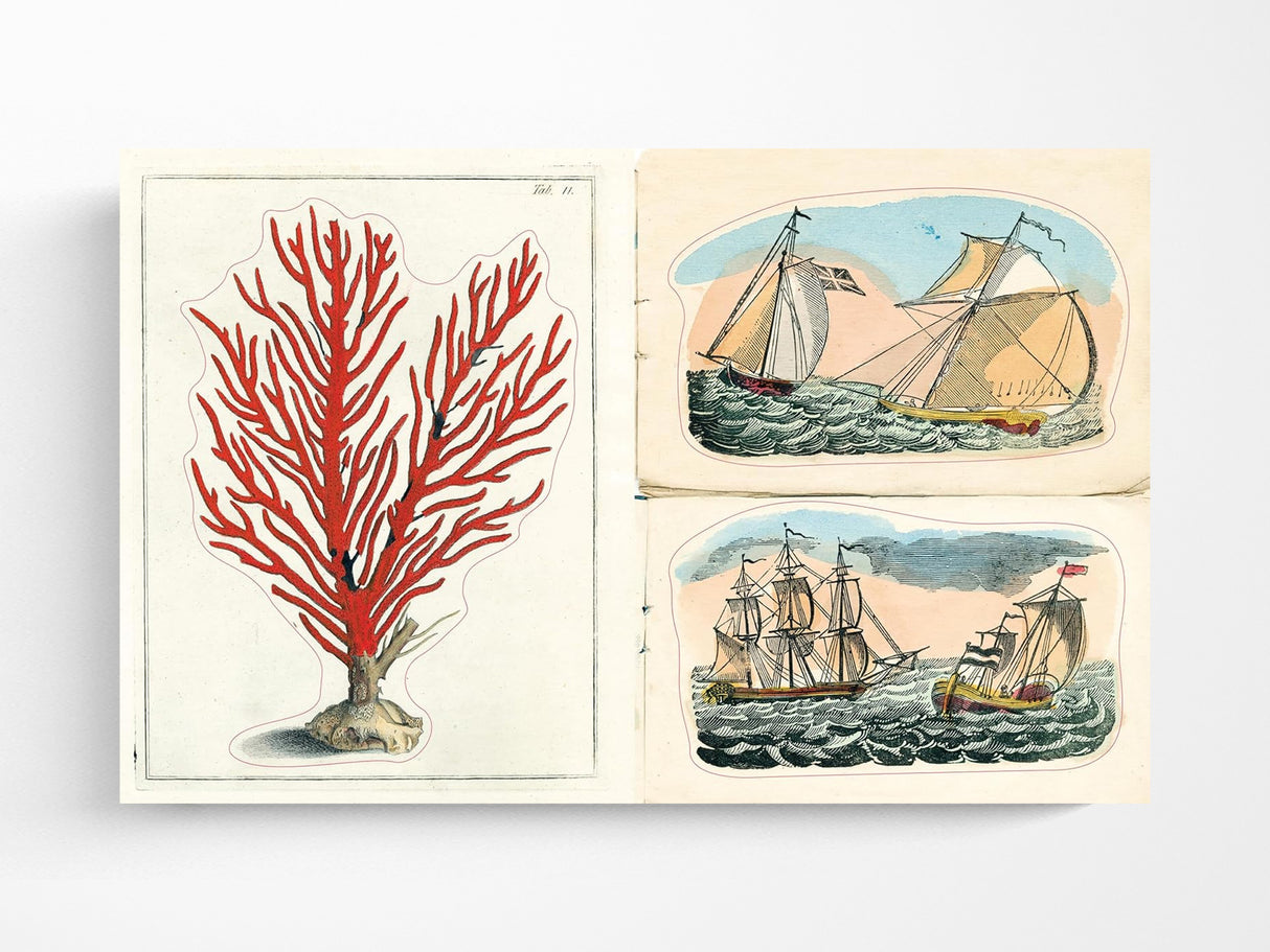 John Derian Sticker Book II