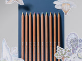 Caran D'ache Toile De Jouy Colored Pencil Set